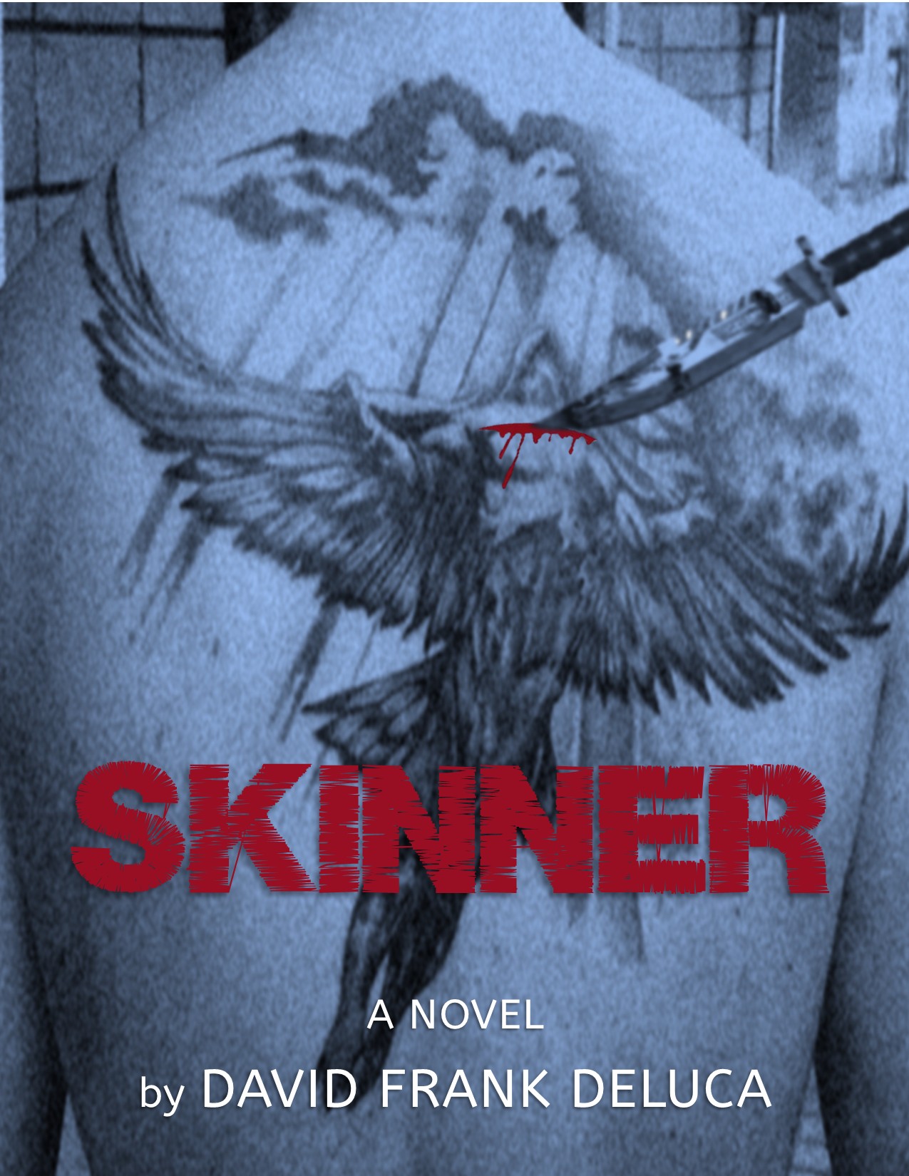 skinner book cover